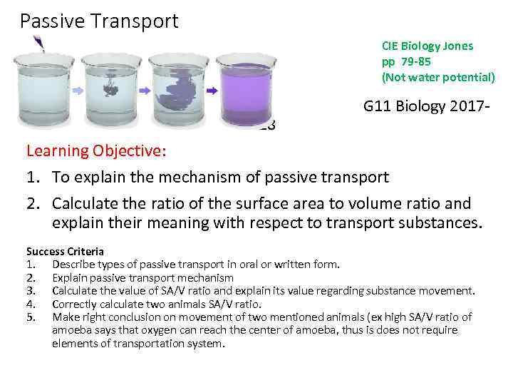 Passive Transport CIE Biology Jones pp 79 -85 (Not water potential) G 11 Biology