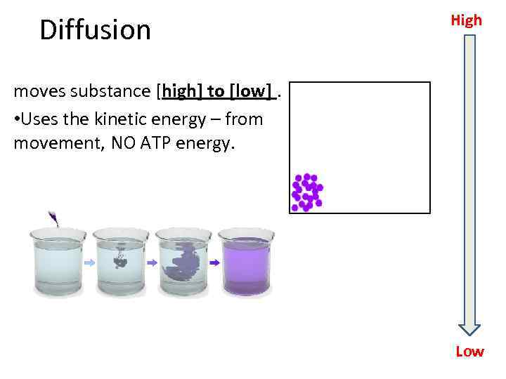 Diffusion High moves substance [high] to [low]. • Uses the kinetic energy – from