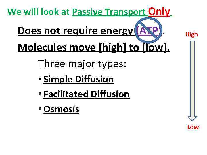 We will look at Passive Transport Only Does not require energy (ATP). Molecules move