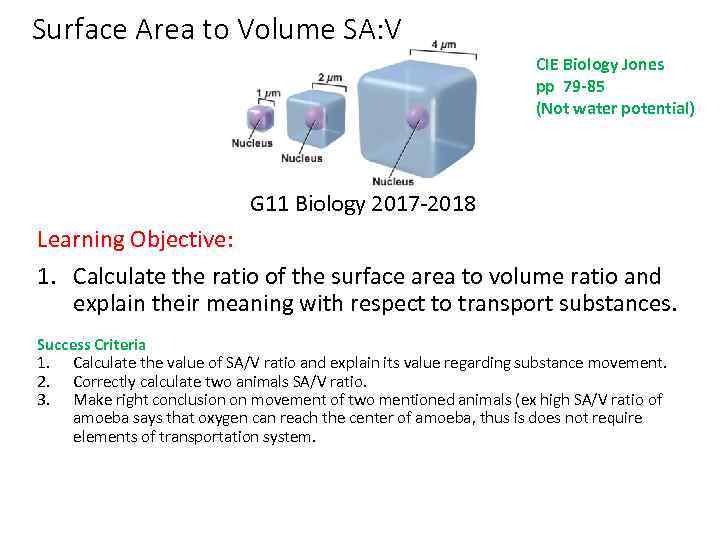 Surface Area to Volume SA: V CIE Biology Jones pp 79 -85 (Not water