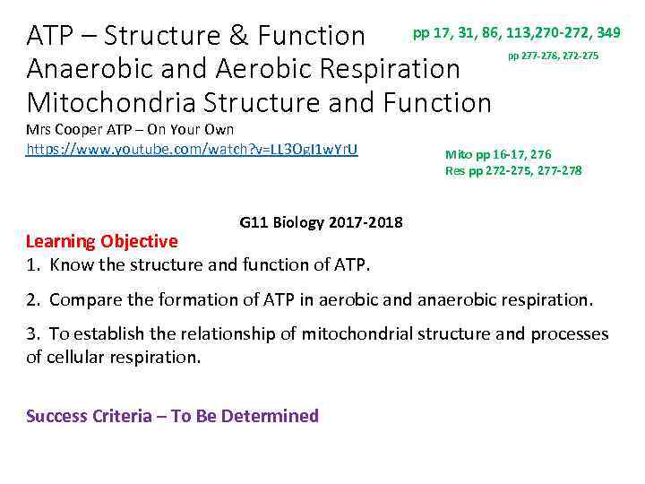 ATP – Structure & Function pp 17, 31, 86, 113, 270 -272, 349 Anaerobic