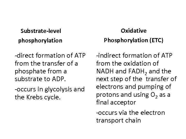 Substrate-level phosphorylation -direct formation of ATP from the transfer of a phosphate from a