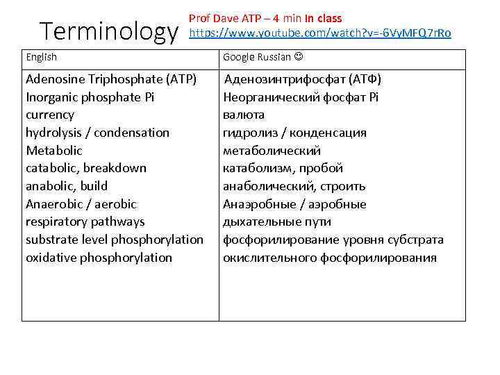 Terminology Prof Dave ATP – 4 min In class https: //www. youtube. com/watch? v=-6