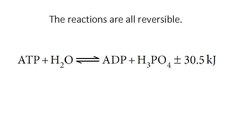 The reactions are all reversible. 