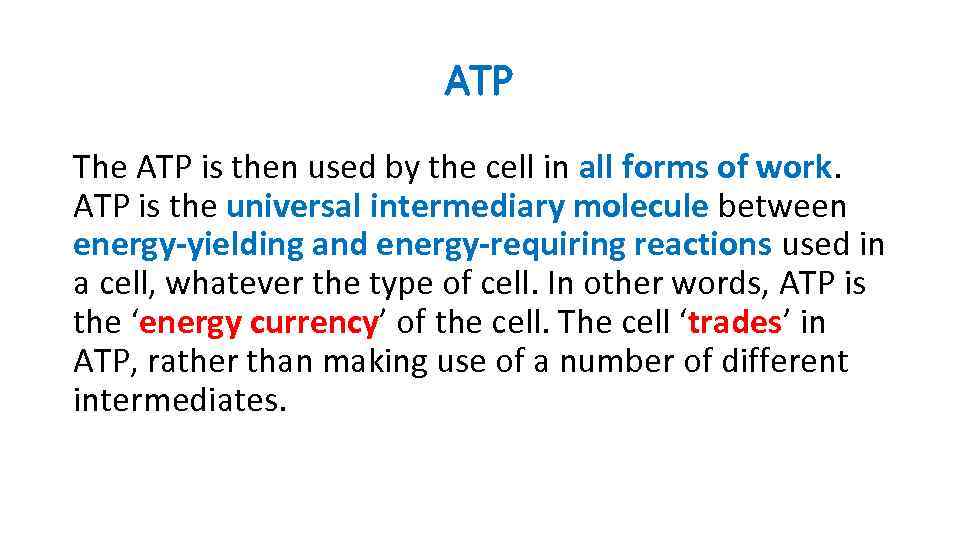ATP The ATP is then used by the cell in all forms of work.