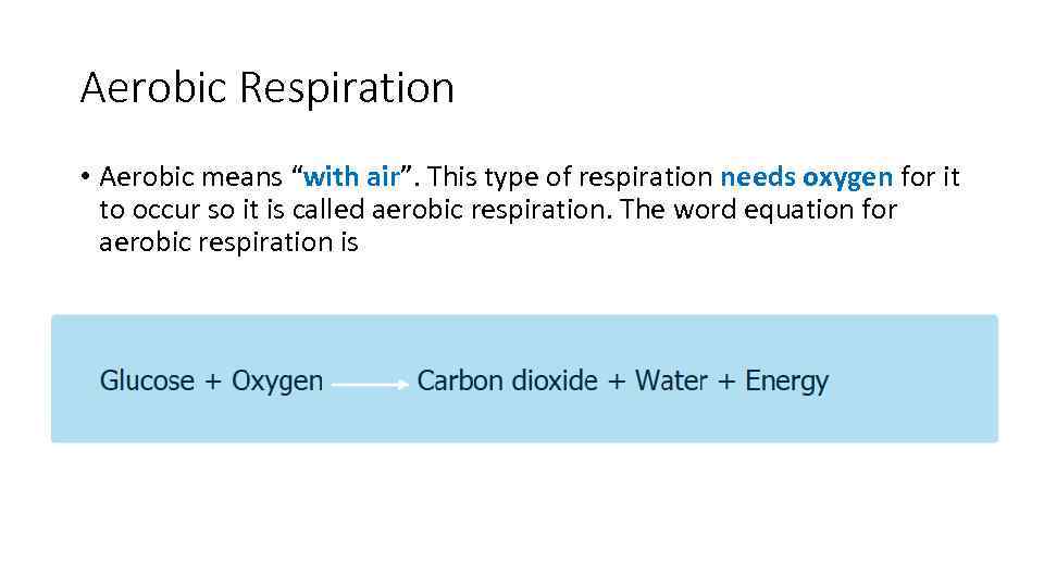Aerobic Respiration • Aerobic means “with air”. This type of respiration needs oxygen for