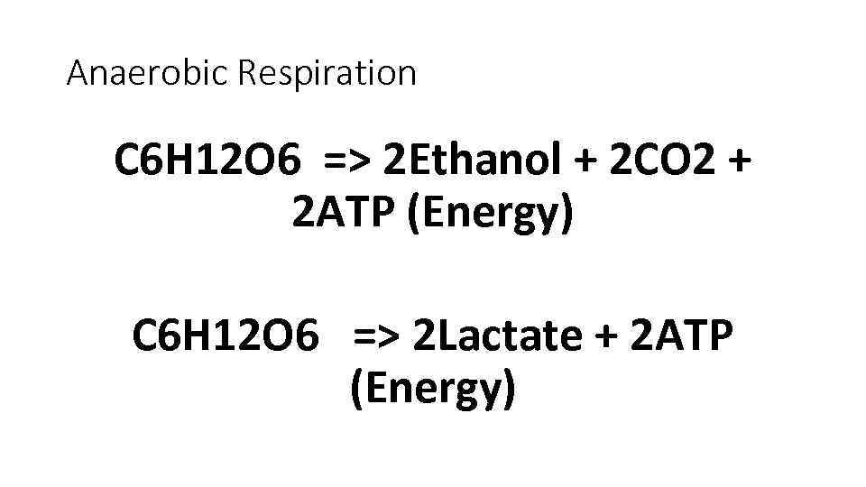 Anaerobic Respiration C 6 H 12 O 6 => 2 Ethanol + 2 CO