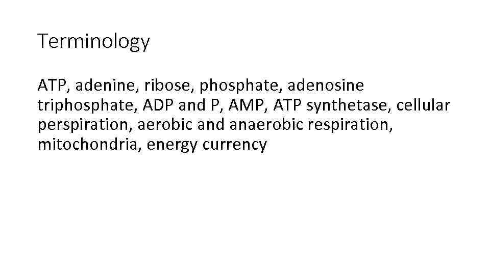 Terminology ATP, adenine, ribose, phosphate, adenosine triphosphate, ADP and P, AMP, ATP synthetase, cellular
