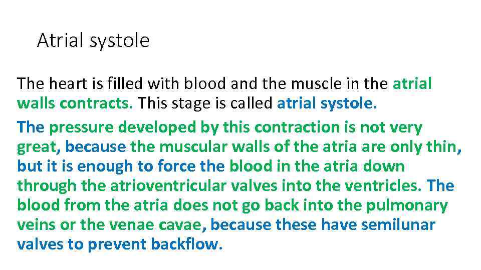 Atrial systole The heart is filled with blood and the muscle in the atrial