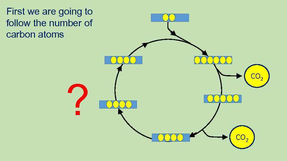 First we are going to follow the number of carbon atoms ? CO 2