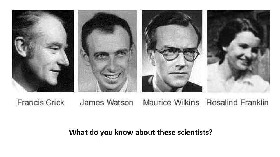 What do you know about these scientists? 