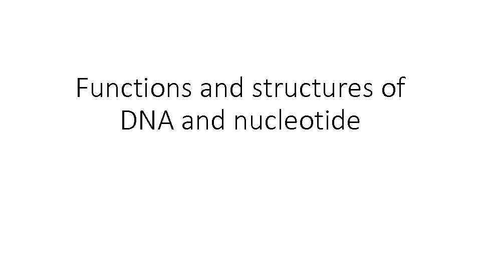 Functions and structures of DNA and nucleotide 