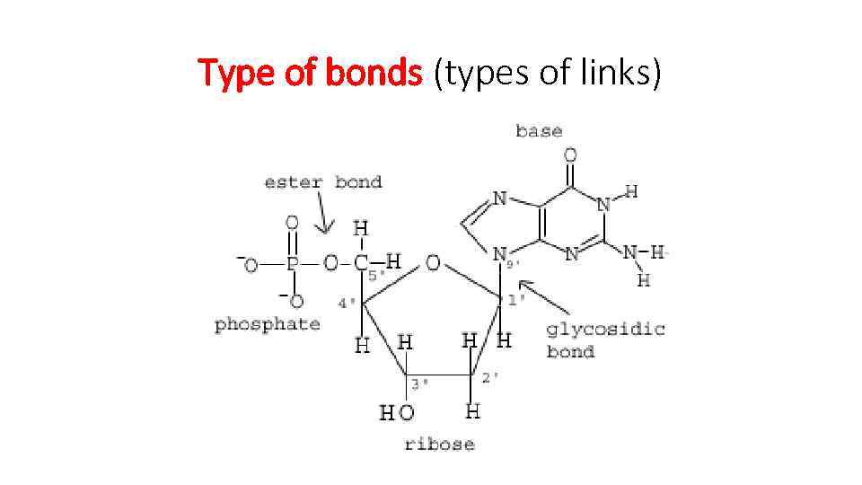 Type of bonds (types of links) 