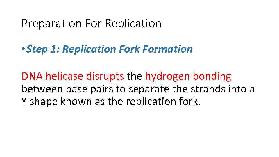 Preparation For Replication • Step 1: Replication Fork Formation DNA helicase disrupts the hydrogen