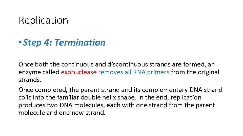 Replication • Step 4: Termination Once both the continuous and discontinuous strands are formed,