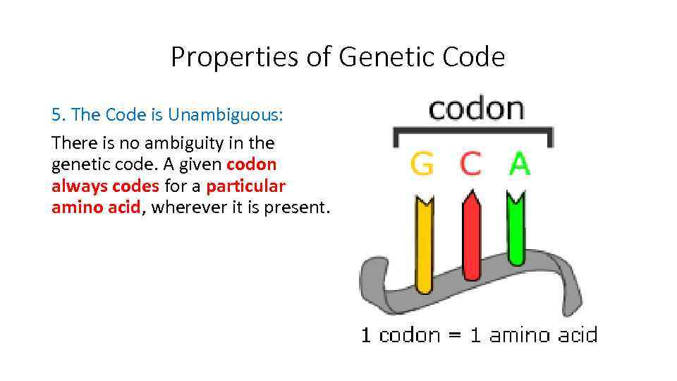 Properties of Genetic Code 5. The Code is Unambiguous: There is no ambiguity in