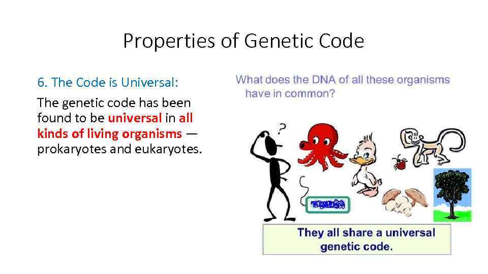 Properties of Genetic Code 6. The Code is Universal: The genetic code has been