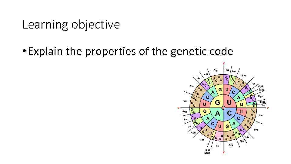Property code. Genetic code properties. The genetic code Скриптонит. Генетический код презентация. Игру the genetic code (2022-23|ру.