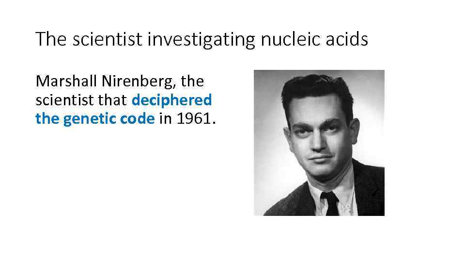 The scientist investigating nucleic acids Marshall Nirenberg, the scientist that deciphered the genetic code