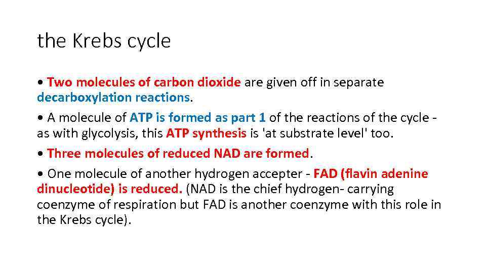 the Krebs cycle • Two molecules of carbon dioxide are given off in separate