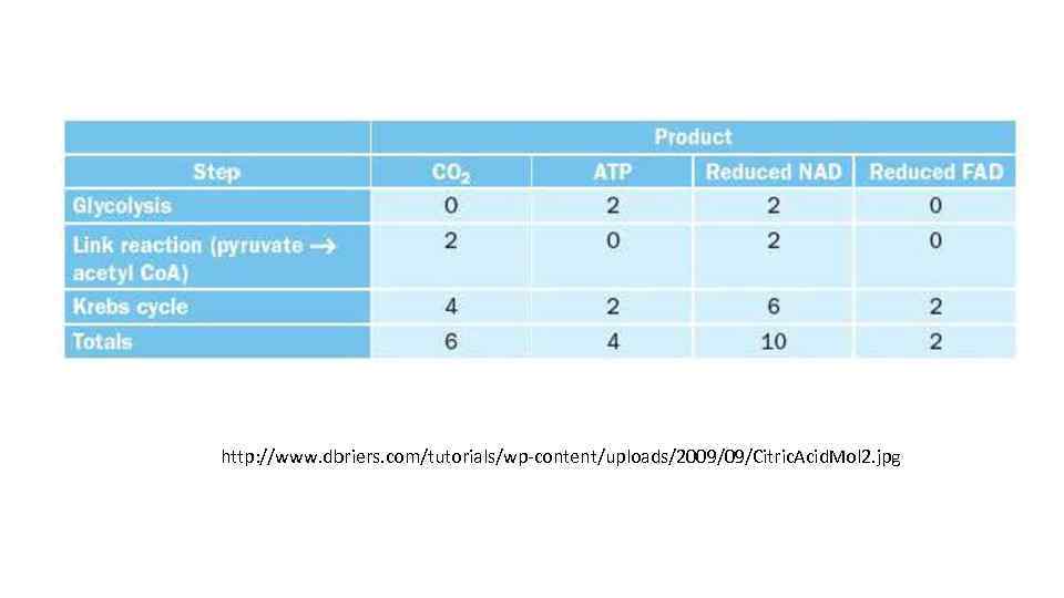 http: //www. dbriers. com/tutorials/wp-content/uploads/2009/09/Citric. Acid. Mol 2. jpg 