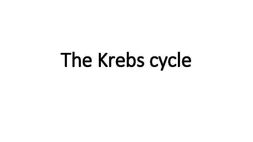 The Krebs cycle 