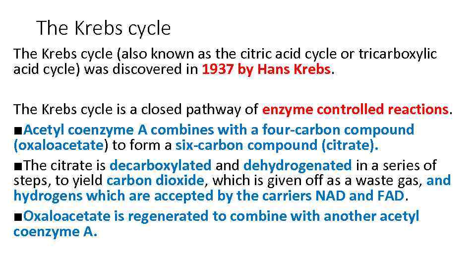 The Krebs cycle (also known as the citric acid cycle or tricarboxylic acid cycle)