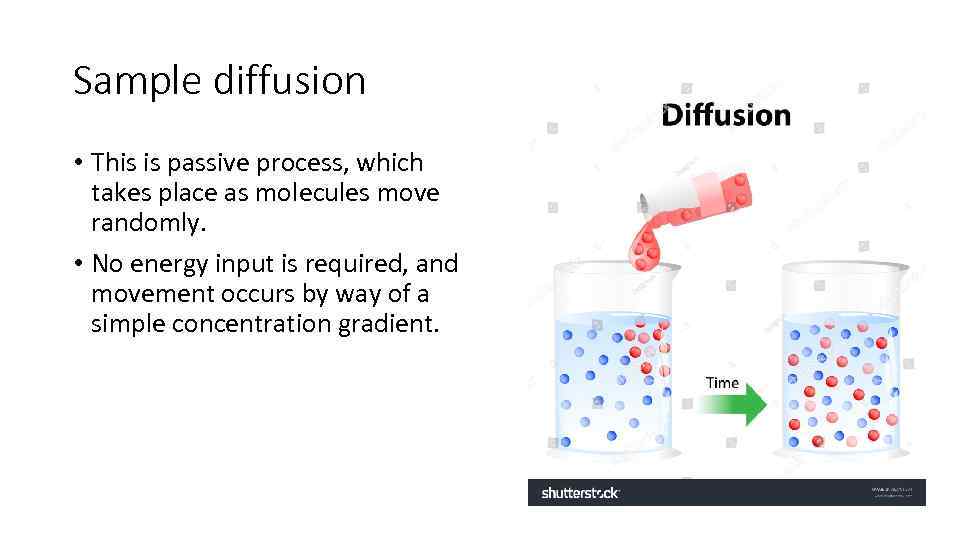 Sample diffusion • This is passive process, which takes place as molecules move randomly.