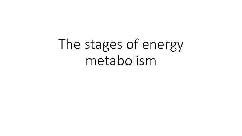 The stages of energy metabolism 