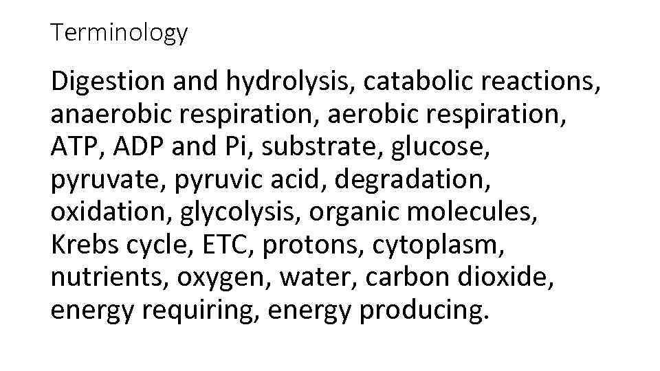 Terminology Digestion and hydrolysis, catabolic reactions, anaerobic respiration, ATP, ADP and Pi, substrate, glucose,