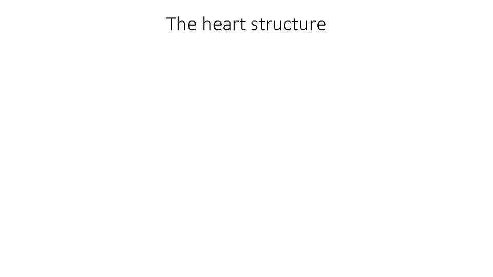 The heart structure 