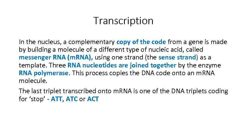 Transcription In the nucleus, a complementary copy of the code from a gene is