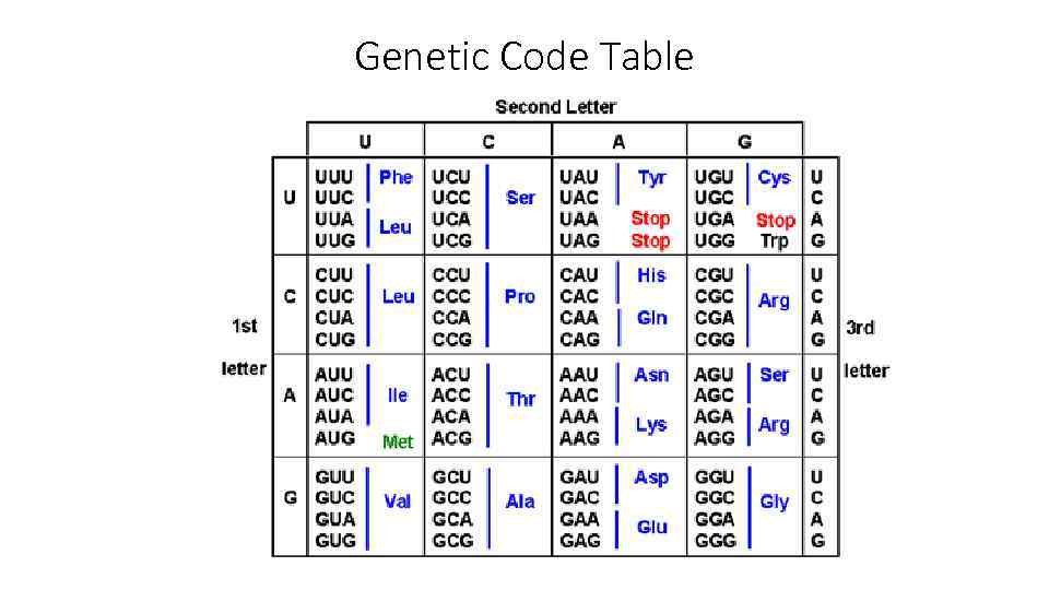 Genetic Code Table 