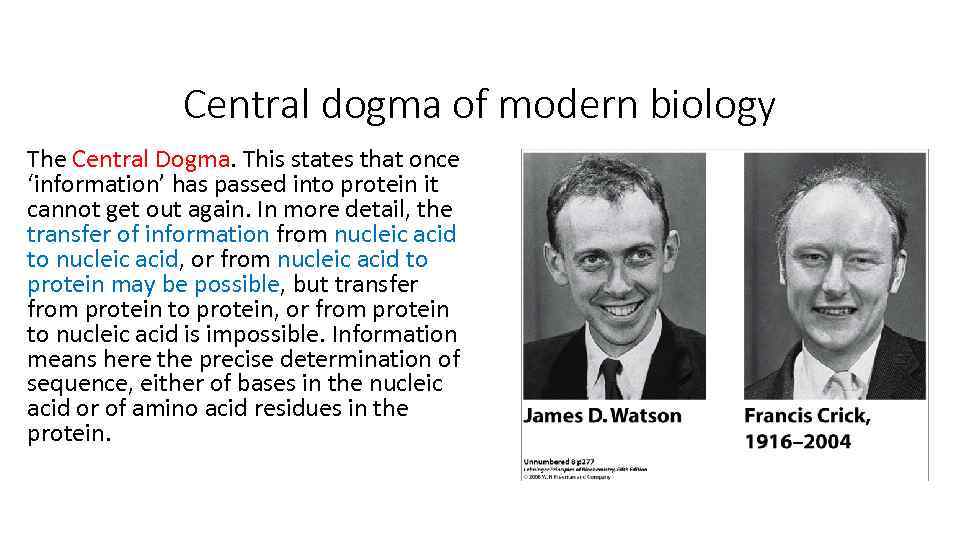 Central dogma of modern biology The Central Dogma. This states that once ‘information’ has