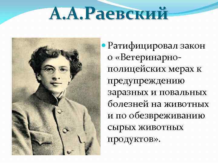 Министр внутренних дел с 1904 г автор проекта о мерах к усовершенствованию