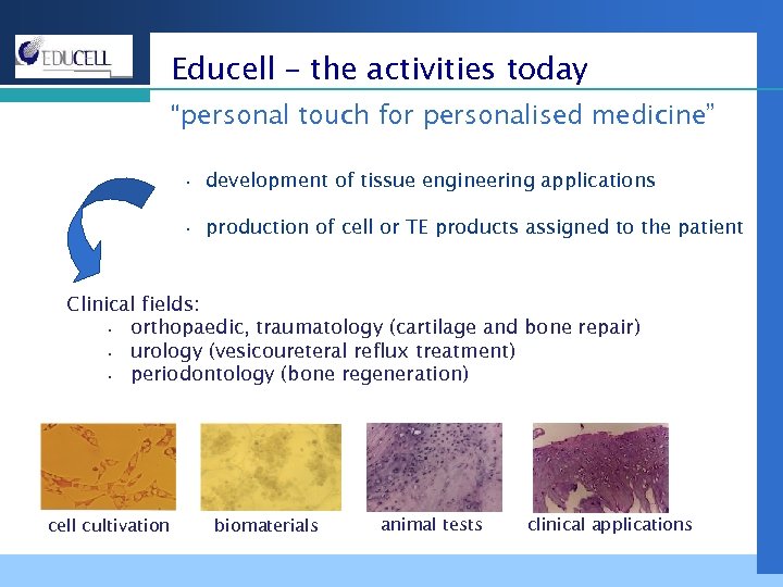 Educell – the activities today “personal touch for personalised medicine” • development of tissue