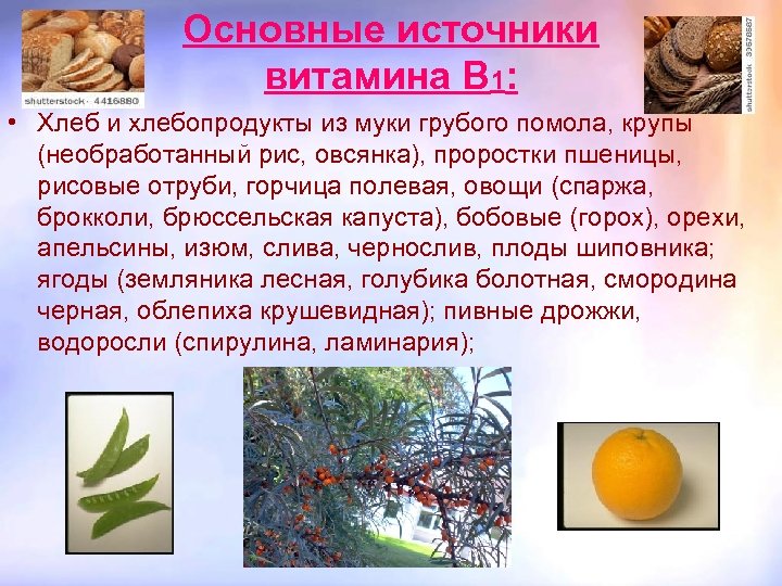 Основные источники витамина В 1: • Хлеб и хлебопродукты из муки грубого помола, крупы