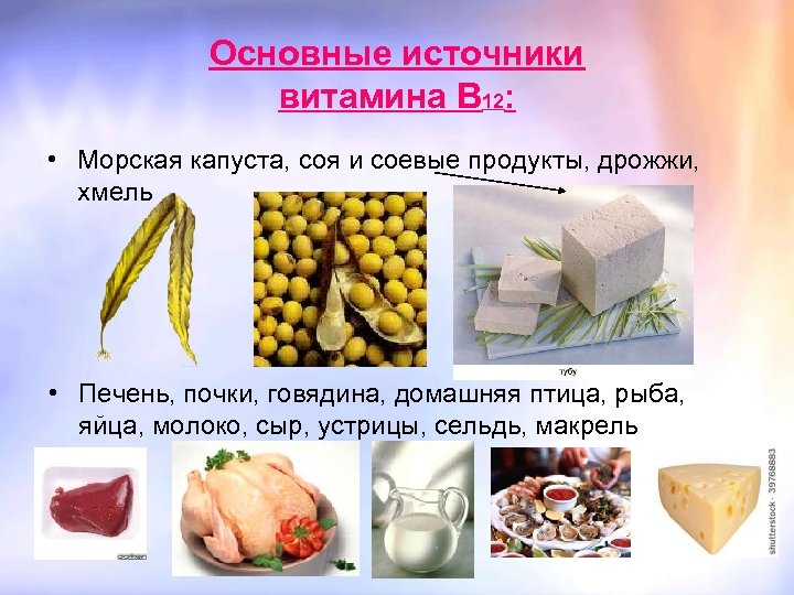Основные источники витамина В 12: • Морская капуста, соя и соевые продукты, дрожжи, хмель
