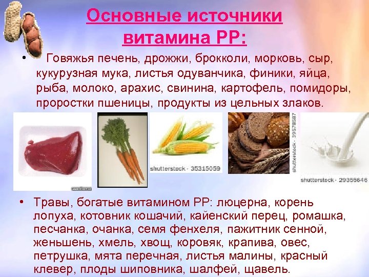 Основные источники витамина PP: • Говяжья печень, дрожжи, брокколи, морковь, сыр, кукурузная мука, листья