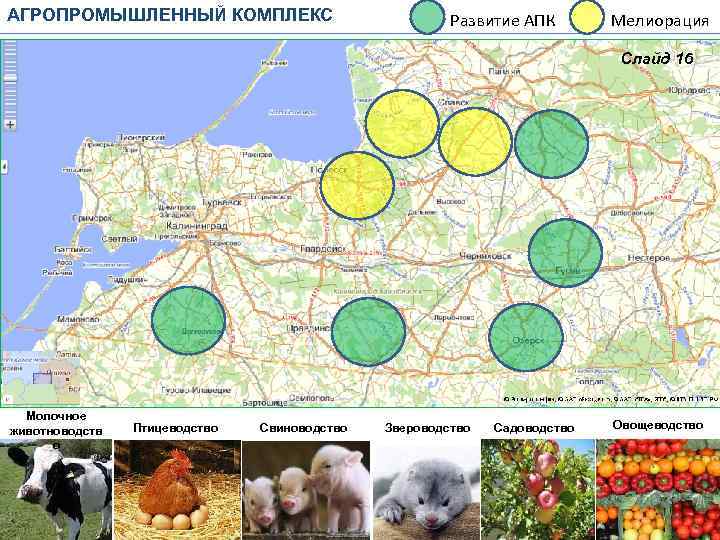 Карта предприятий калининградской области