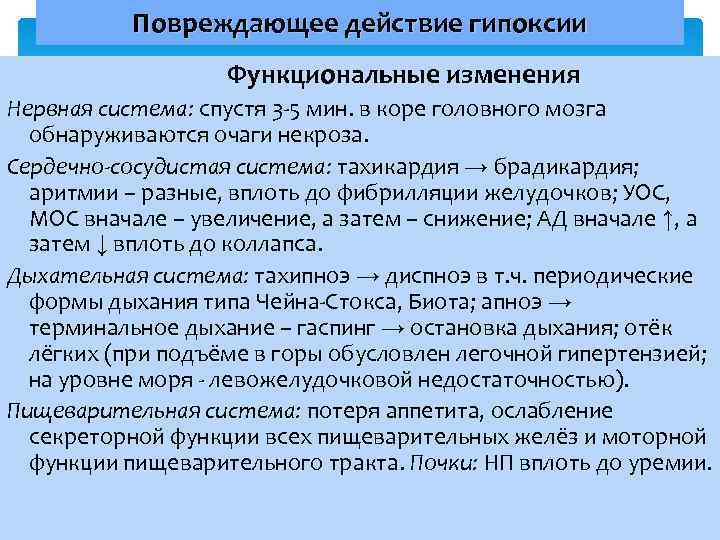 Повреждающее действие гипоксии Функциональные изменения Нервная система: спустя 3 -5 мин. в коре головного