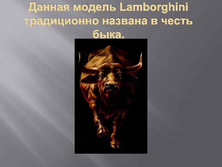 Данная модель Lamborghini традиционно названа в честь быка. 