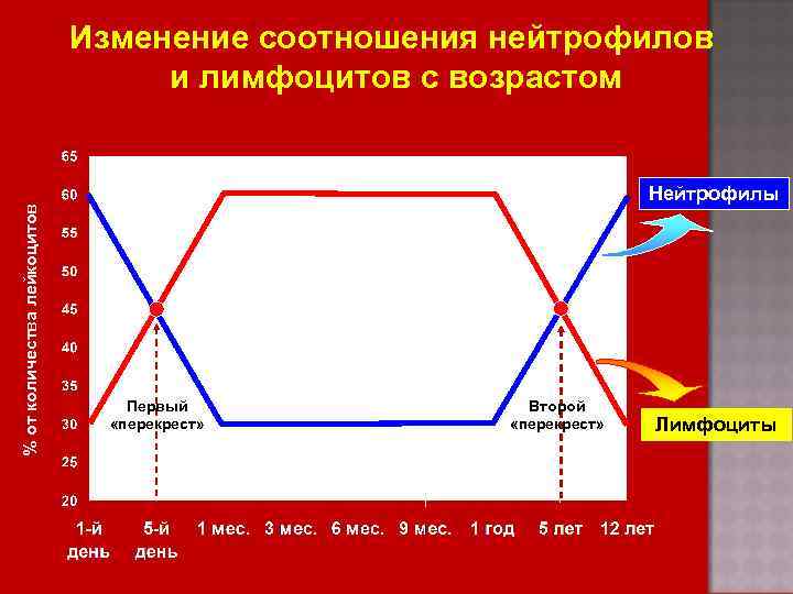 Изменение соотношения. Изменение соотношения нейтрофилов и лимфоцитов с возрастом. Второй Перекрест в лейкоцитарной формуле. Физиологические перекресты крови у детей. Первый Перекрест в лейкоцитарной формуле.