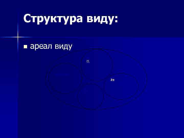 Структура виду: n ареал виду 3 -я П. 1 популяція 2 -я популяція 4