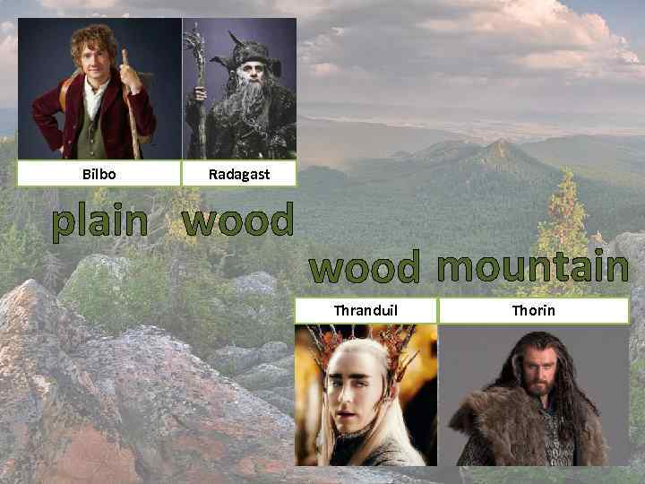 Bilbo Radagast plain wood mountain Thranduil Thorin 