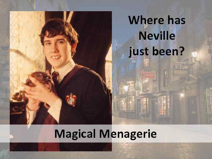 Where has Neville just been? Magical Menagerie 
