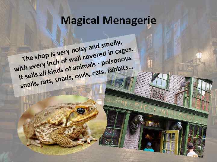 Magical Menagerie , smelly d oisy an in cages. y n d p is