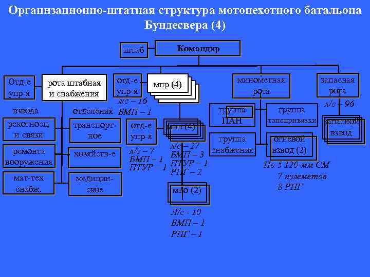 Организационно штатная структура образец