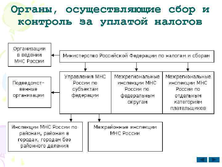 Налоговая система в рф проект