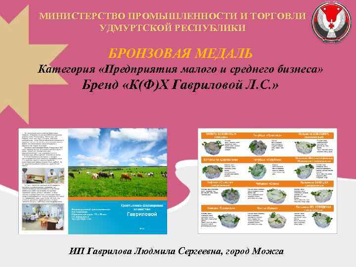 МИНИСТЕРСТВО ПРОМЫШЛЕННОСТИ И ТОРГОВЛИ УДМУРТСКОЙ РЕСПУБЛИКИ БРОНЗОВАЯ МЕДАЛЬ Категория «Предприятия малого и среднего бизнеса»